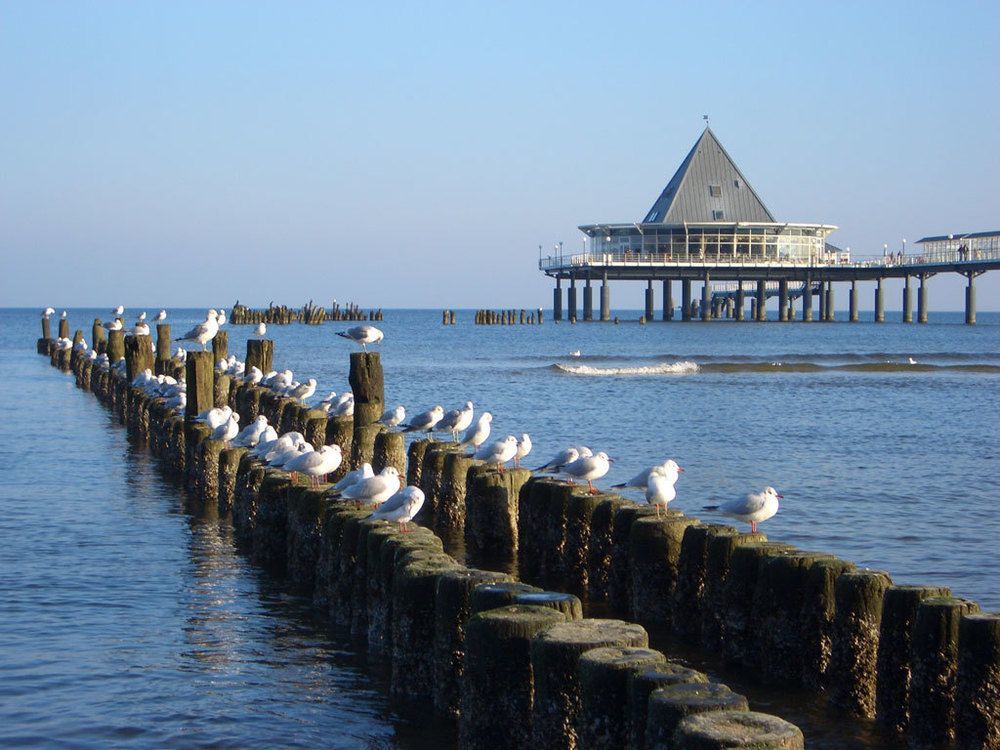 Hotel Am Gothensee Heringsdorf (Usedom) Exterior foto